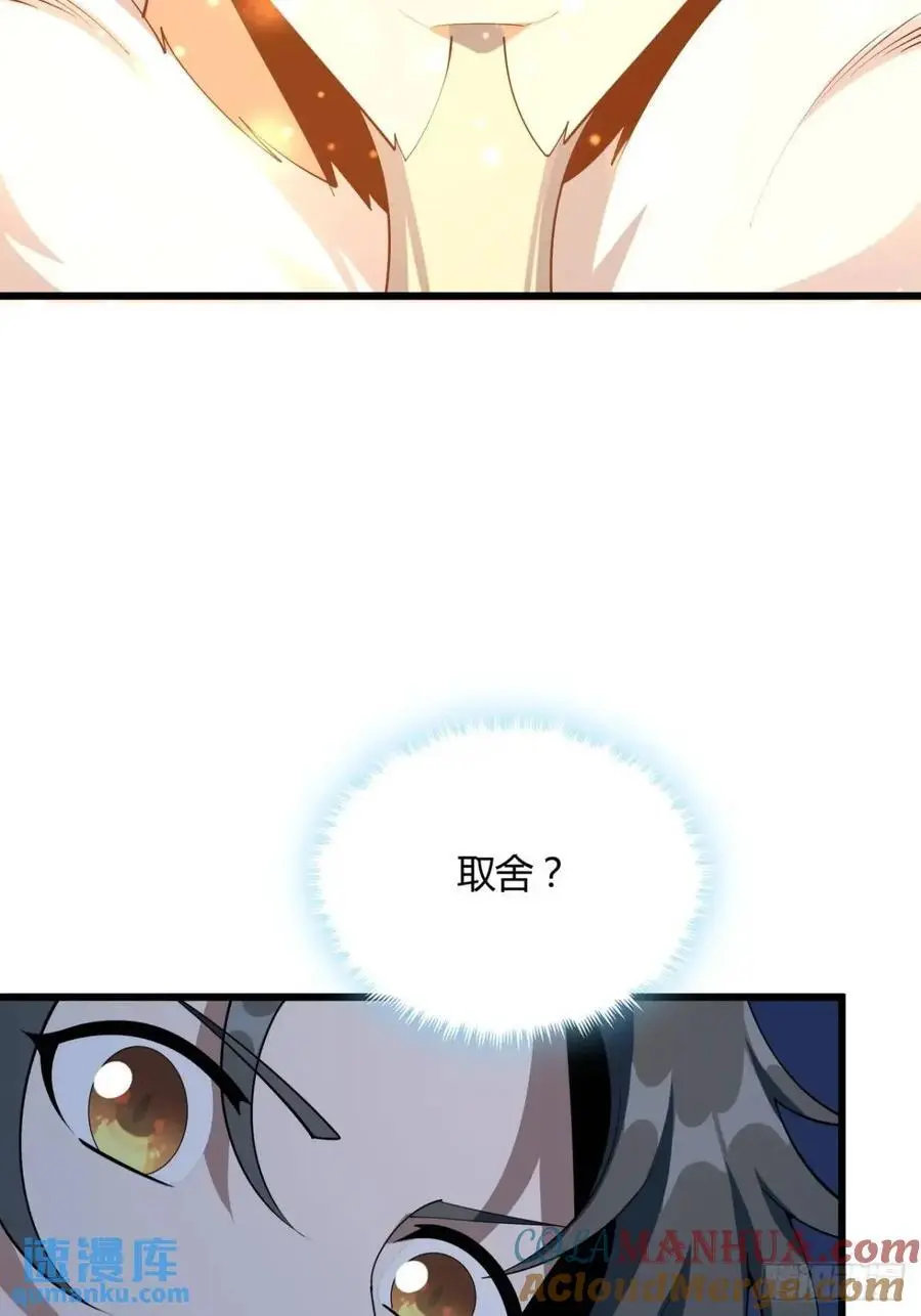 251话 陨落的高手12