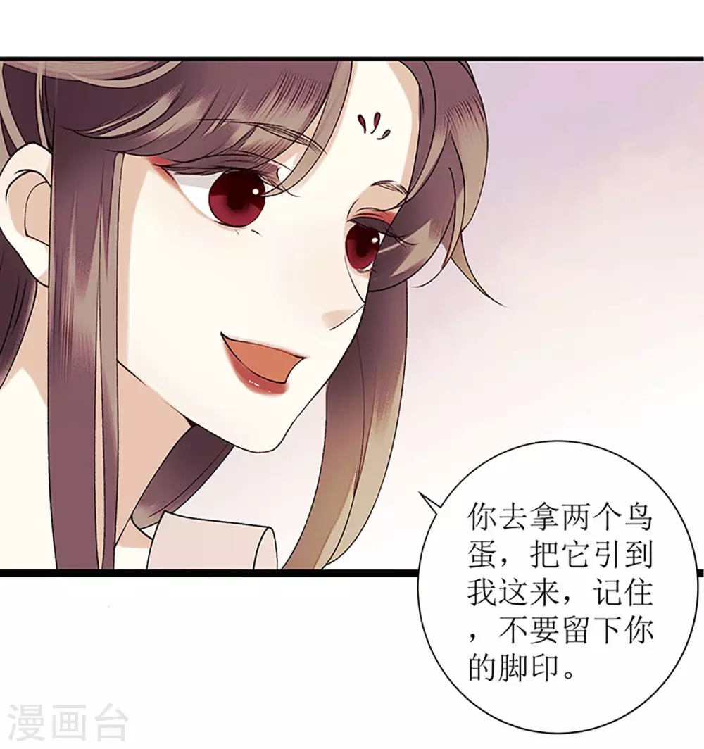 第36话 布局反击13
