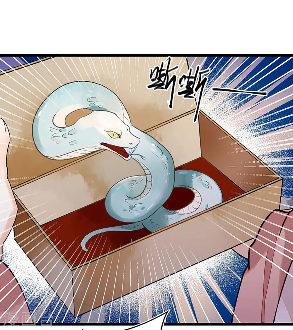 第6话 二妹贺礼9