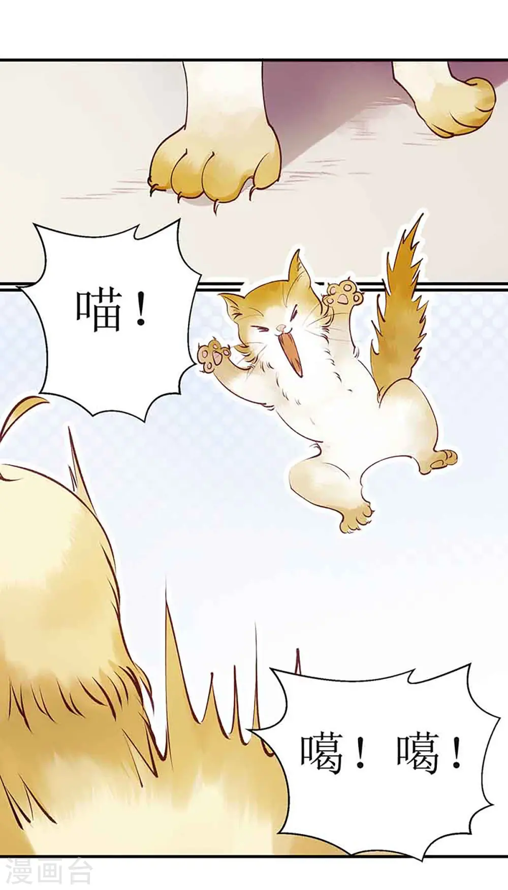 第45话 鹦鹉丢了9