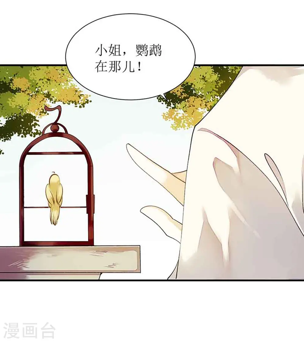 第45话 鹦鹉丢了6