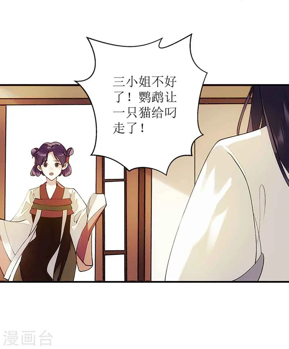 第45话 鹦鹉丢了14