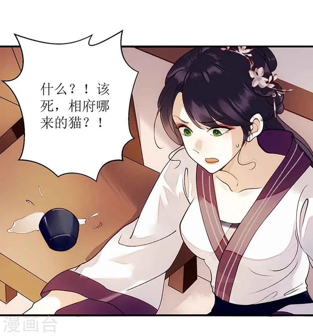 第45话 鹦鹉丢了15