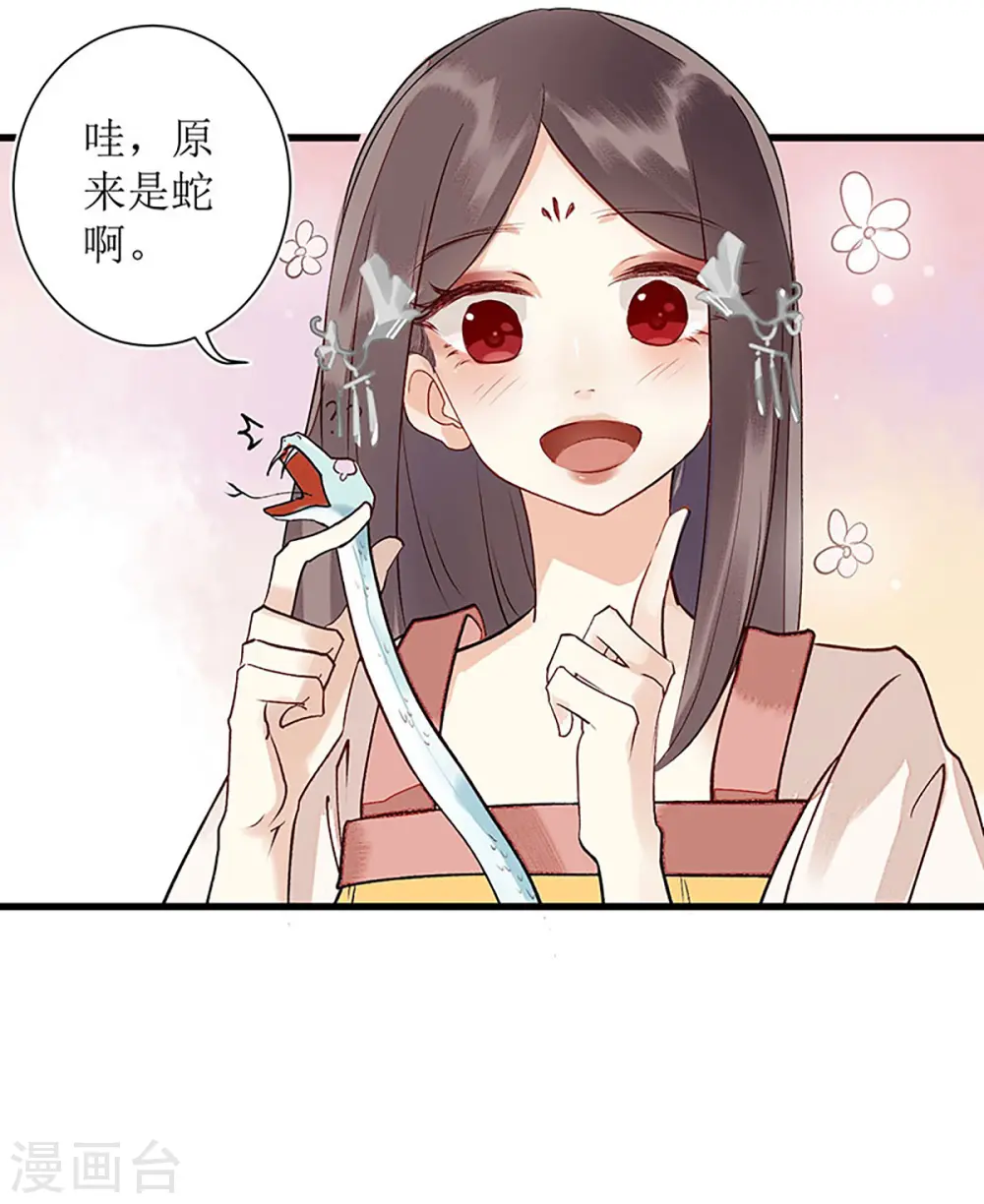 第6话 二妹贺礼12