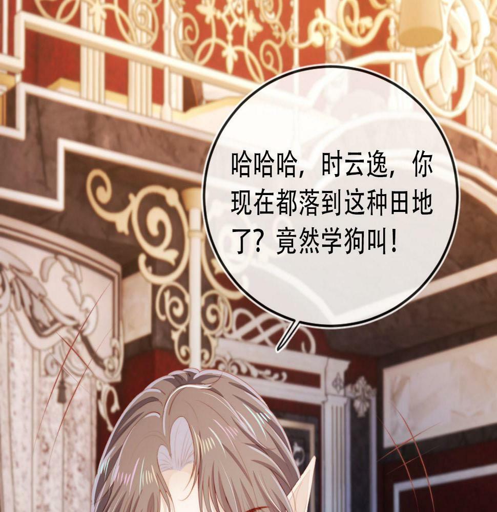 第71话 我是你的宠物51
