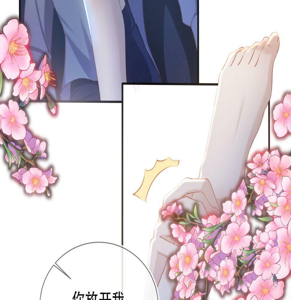第71话 我是你的宠物9