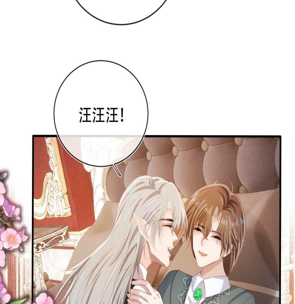 第71话 我是你的宠物42