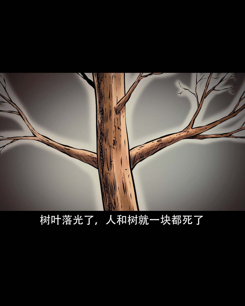 613 老烟鬼146话57