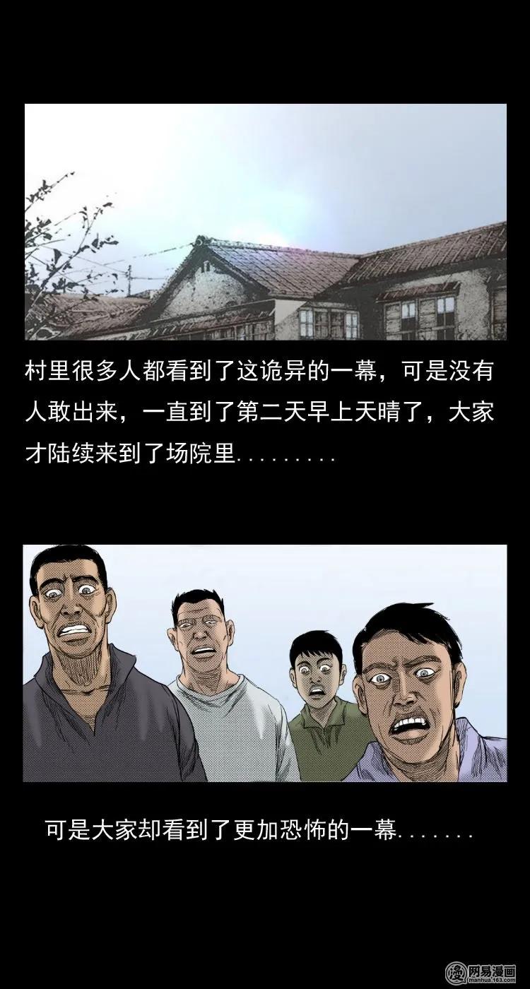 29 古树25