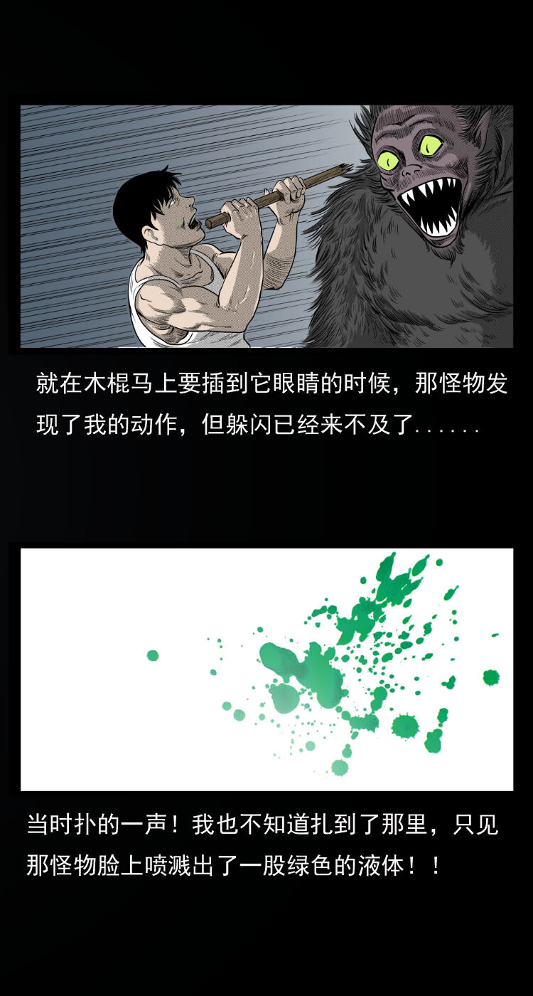 10 青藏铁路怪物事件29