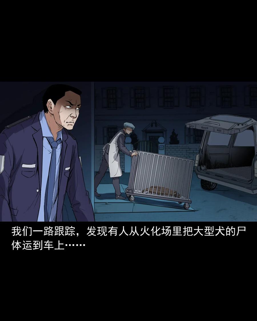 406 消失的尸体19