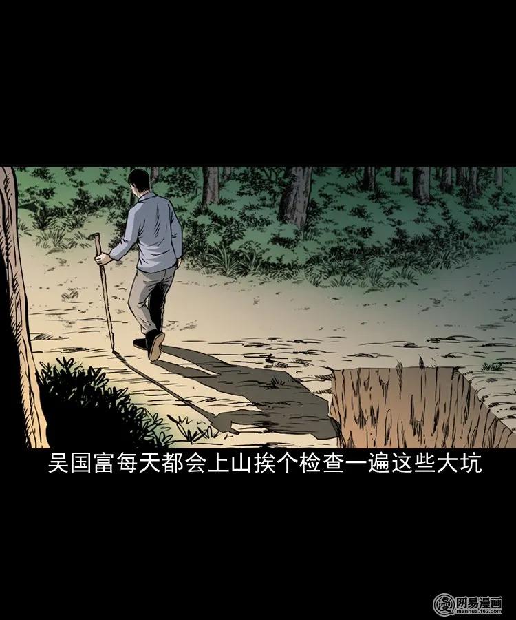 168 刺猬6