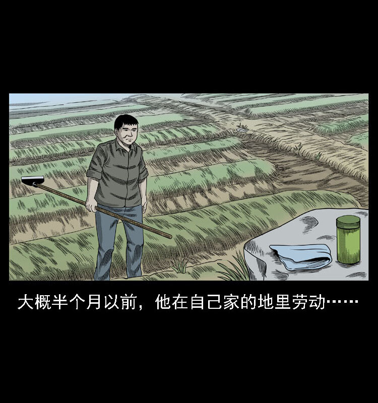 18 寄生物19