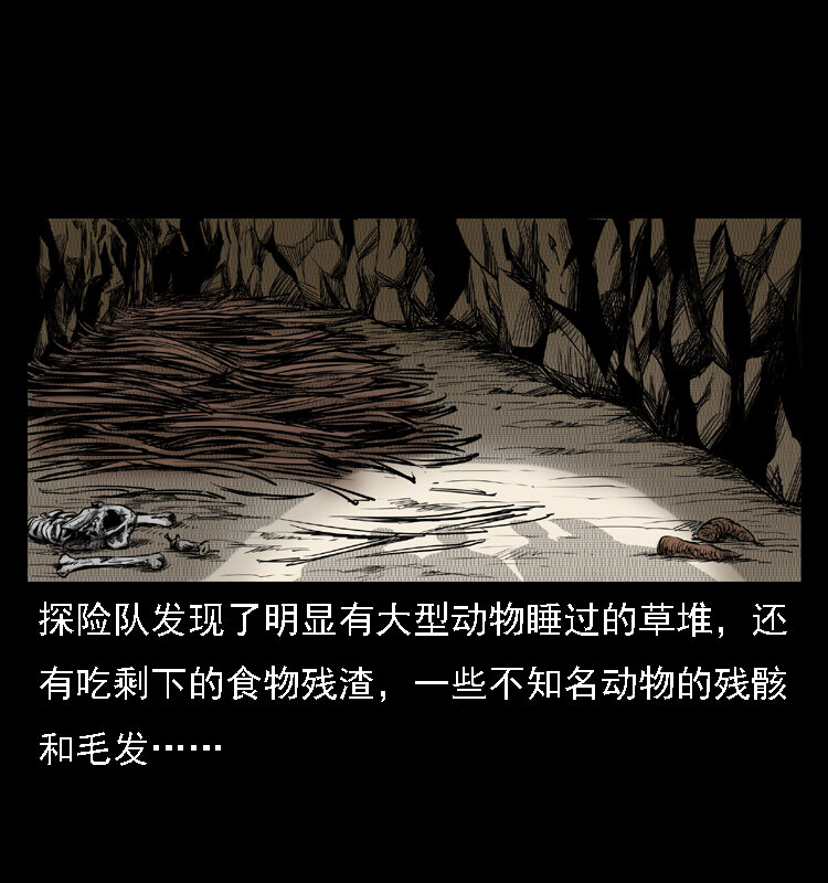 16 神农架野人78