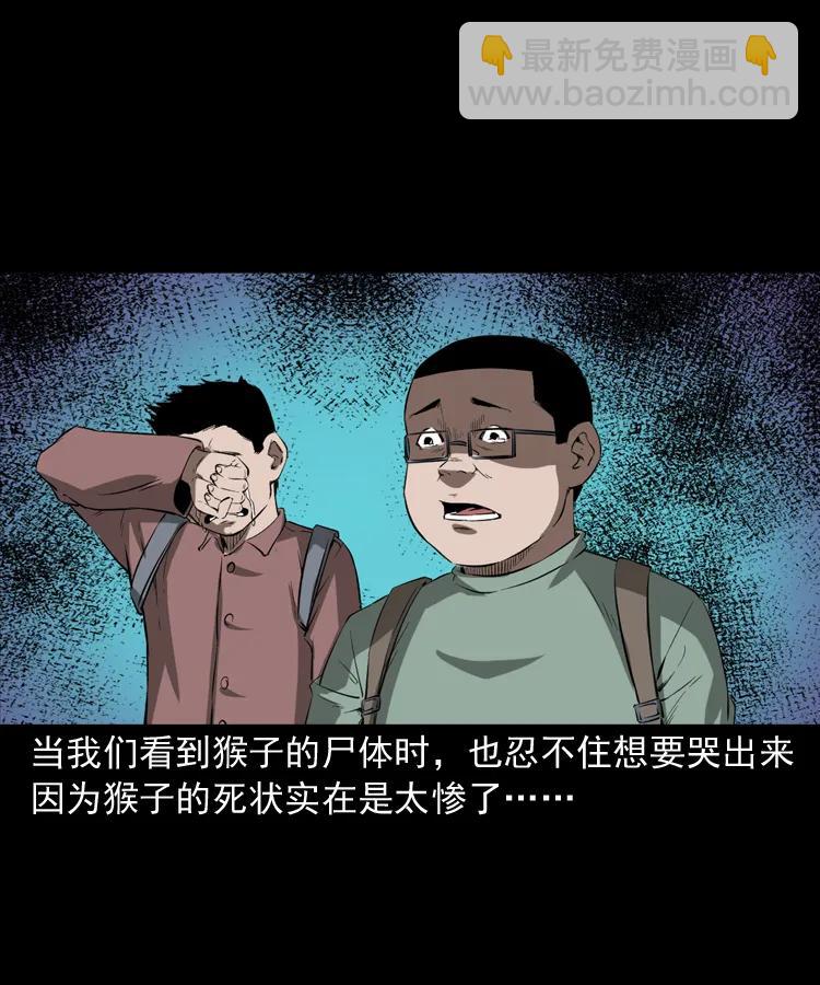 341 本命年撞煞91