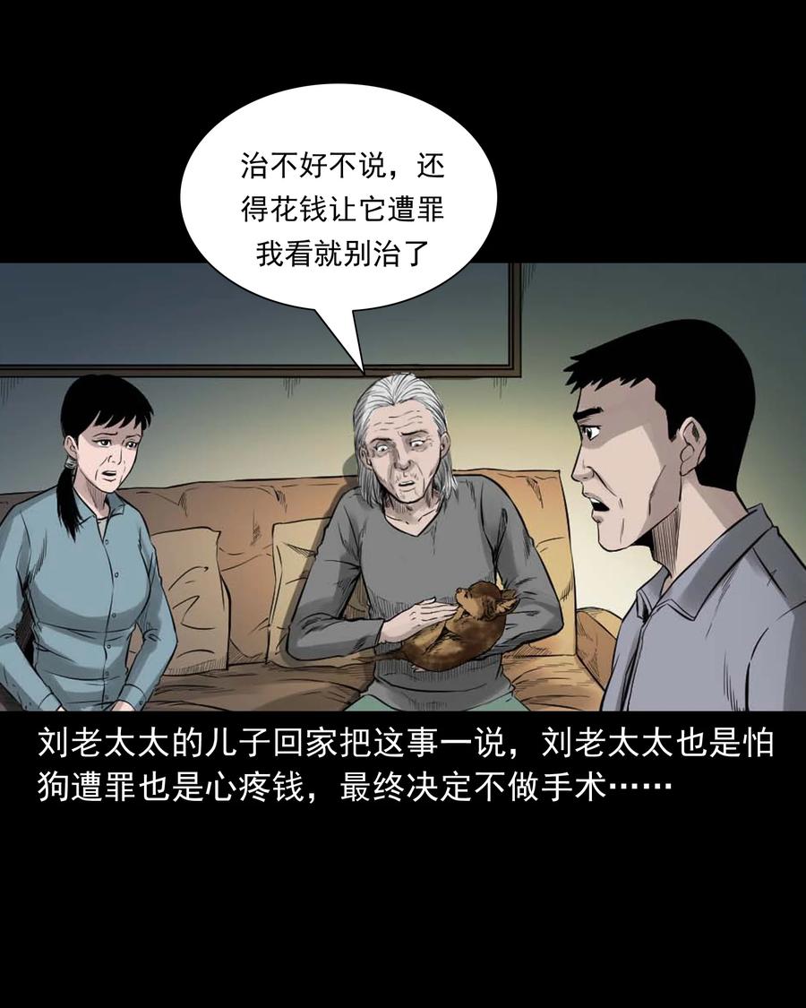 509 狗命25