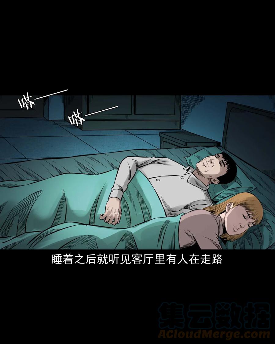 537 不速来客21
