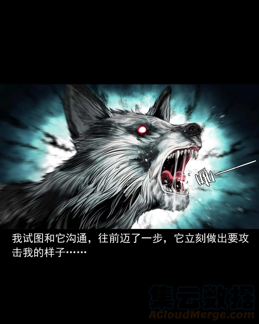 539 犬灵22