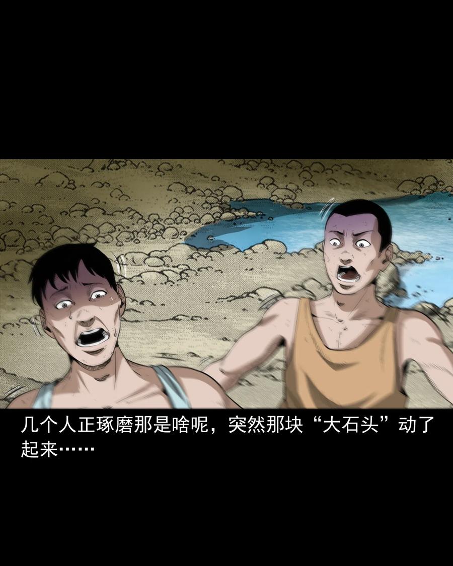 493 大王八7