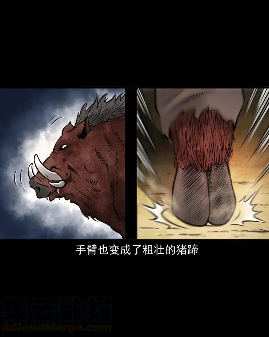 482 老烟鬼7972