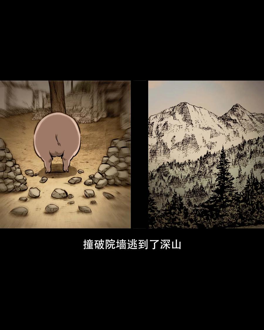 559 老烟鬼116话66