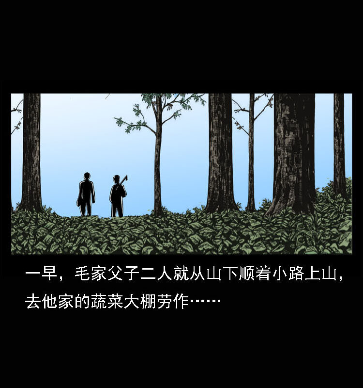 15 空中怪车事件48