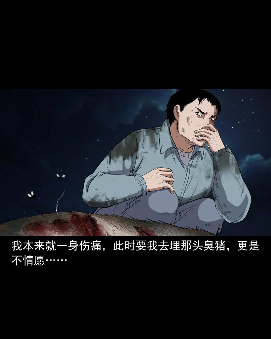 372 公路诡事65