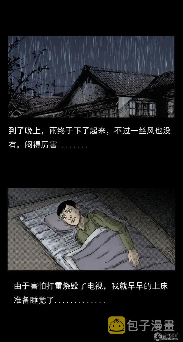 29 古树19