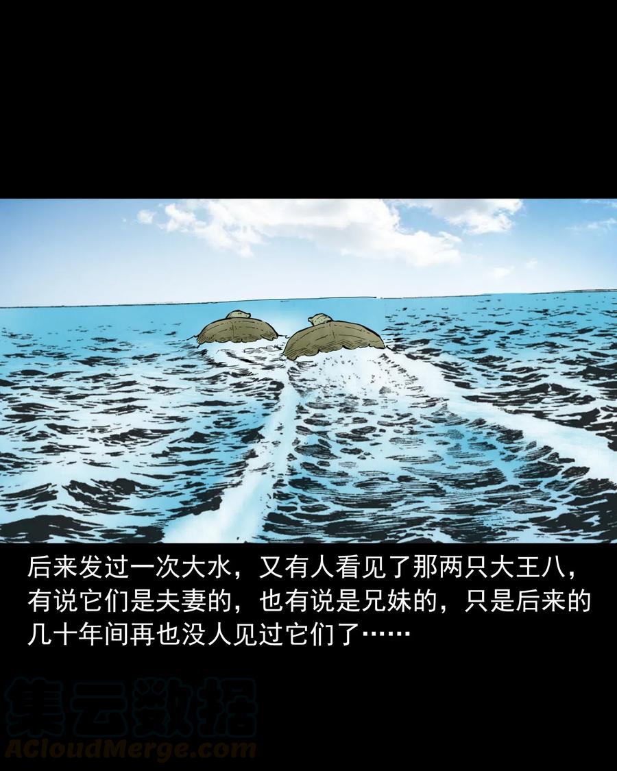 493 大王八45