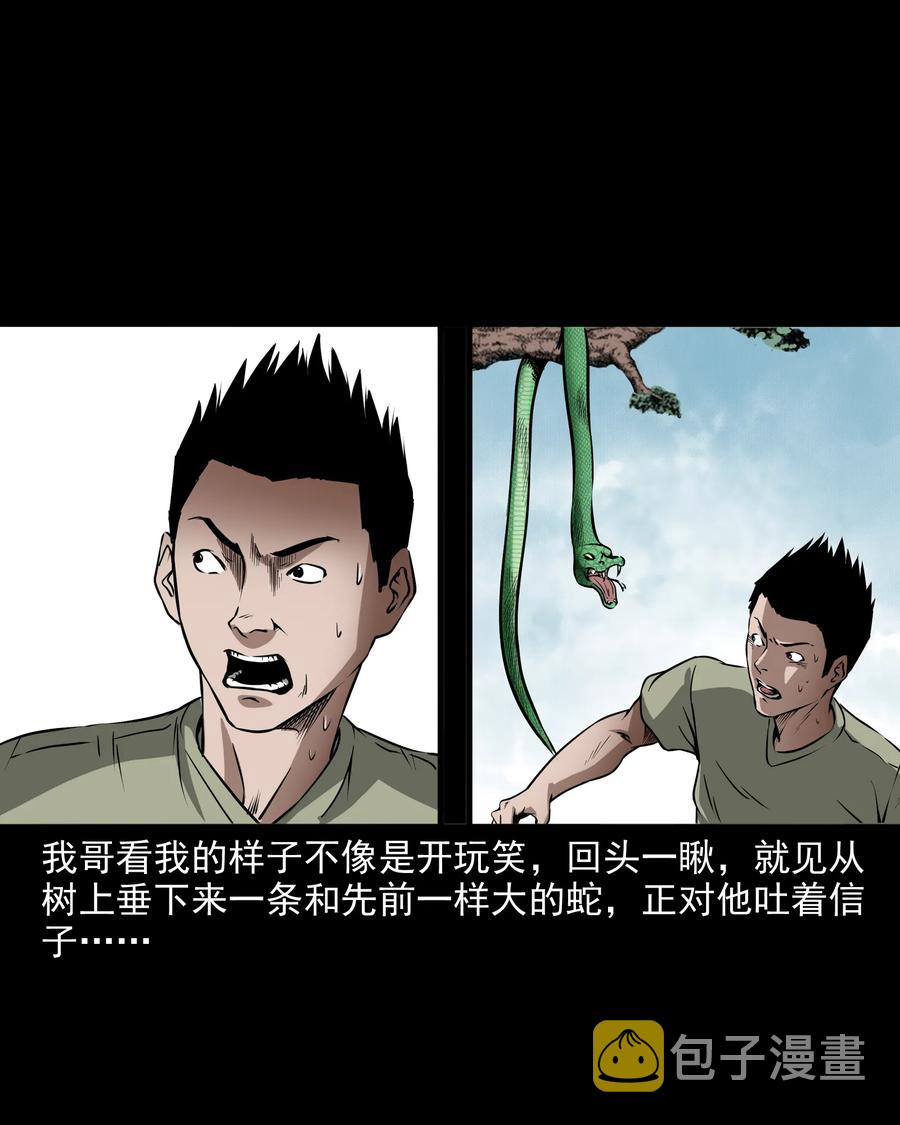 291 蛇祸18