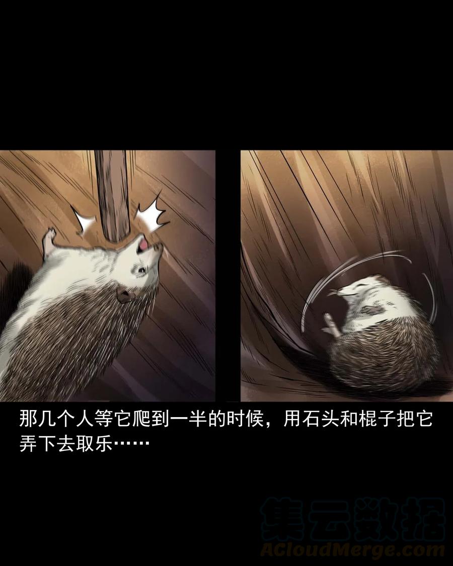 444 白神医16