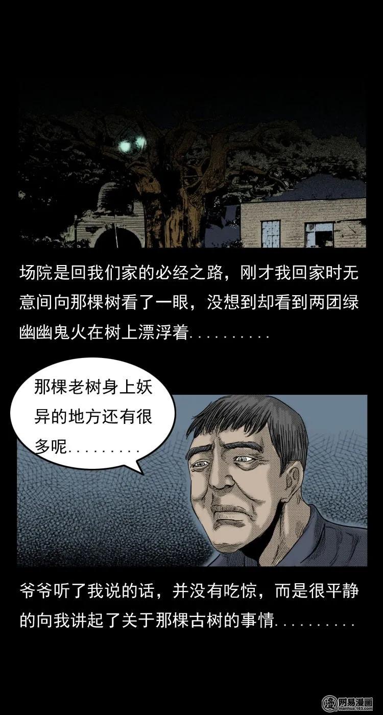 29 古树7