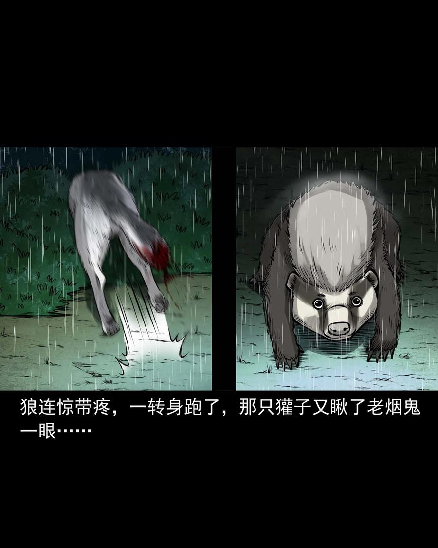 528 老烟鬼10156