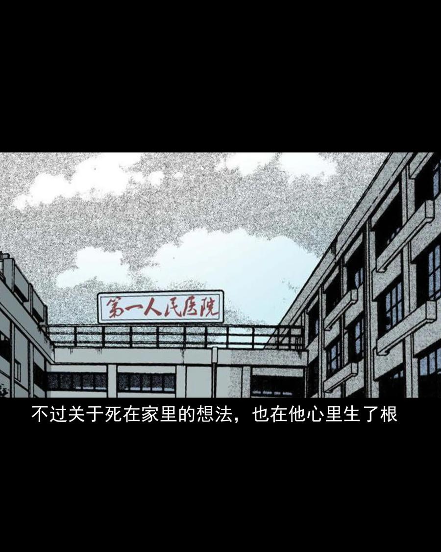 388 叶落归根23