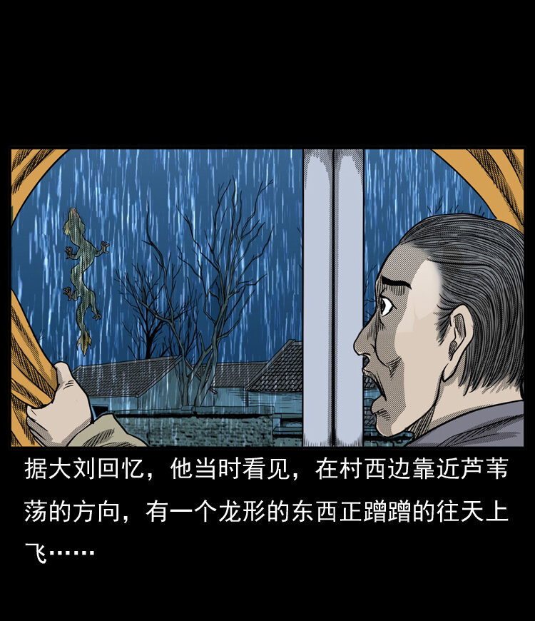 20 坠龙37