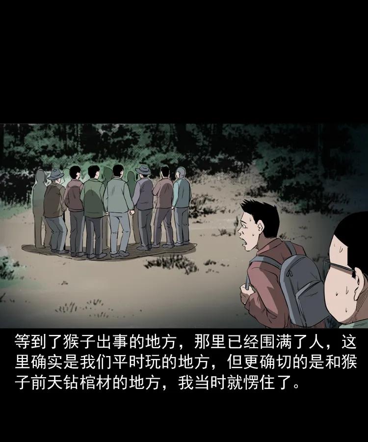 341 本命年撞煞89