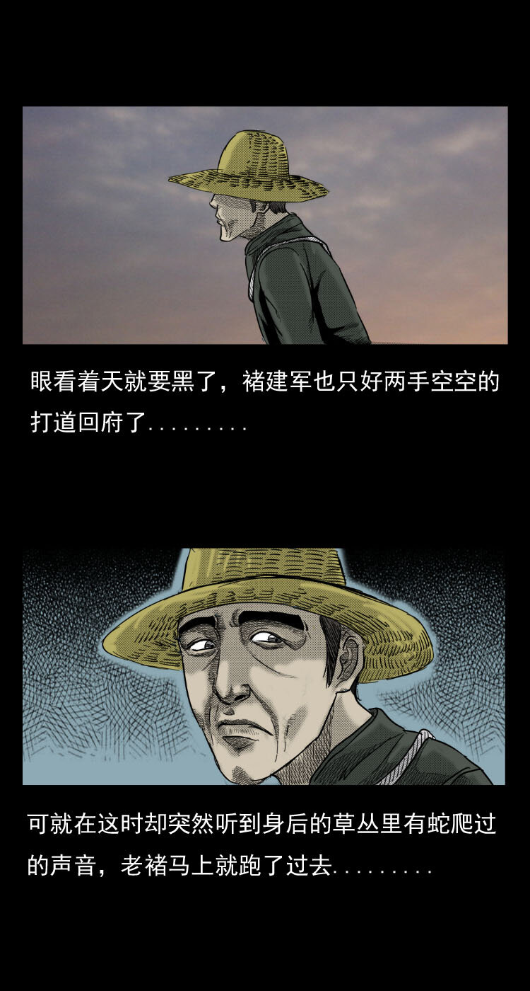 5 活蛇酒7