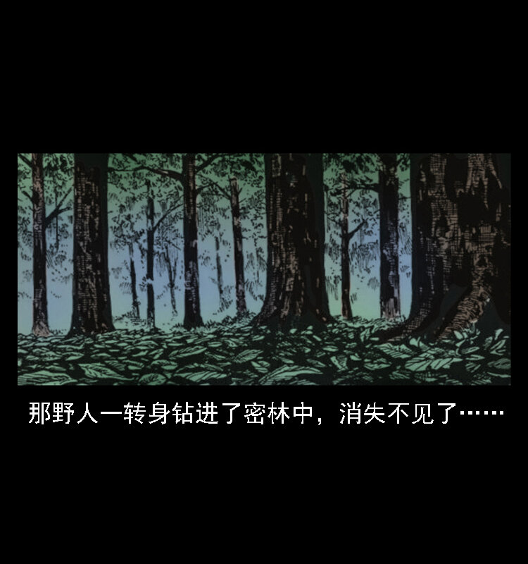 16 神农架野人68