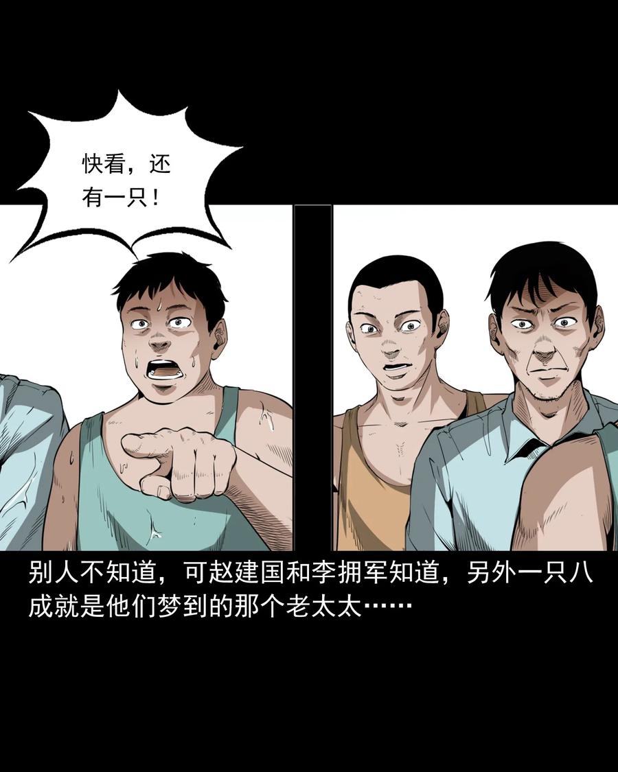 493 大王八38