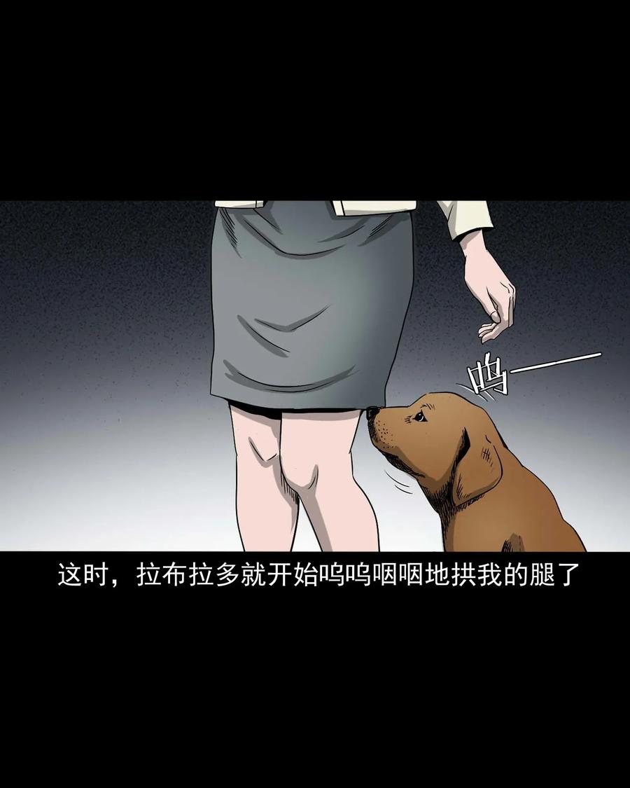 412 找狗人19