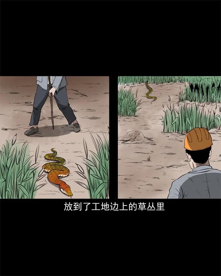 270 善报26