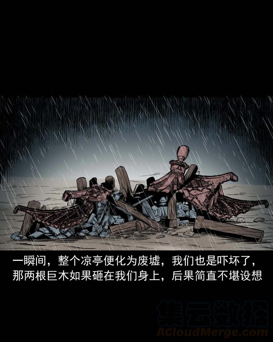 311 白眼狼48