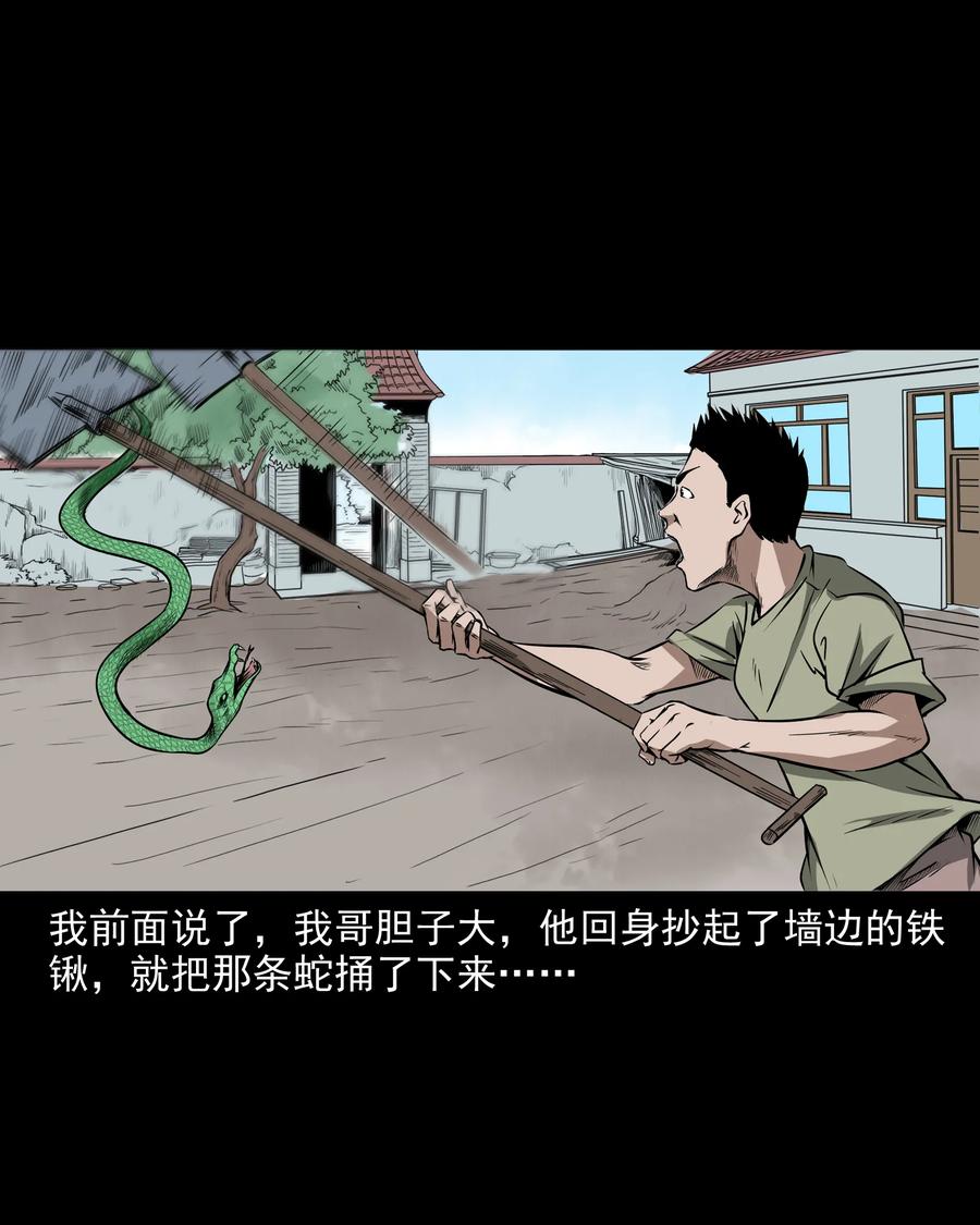 291 蛇祸19