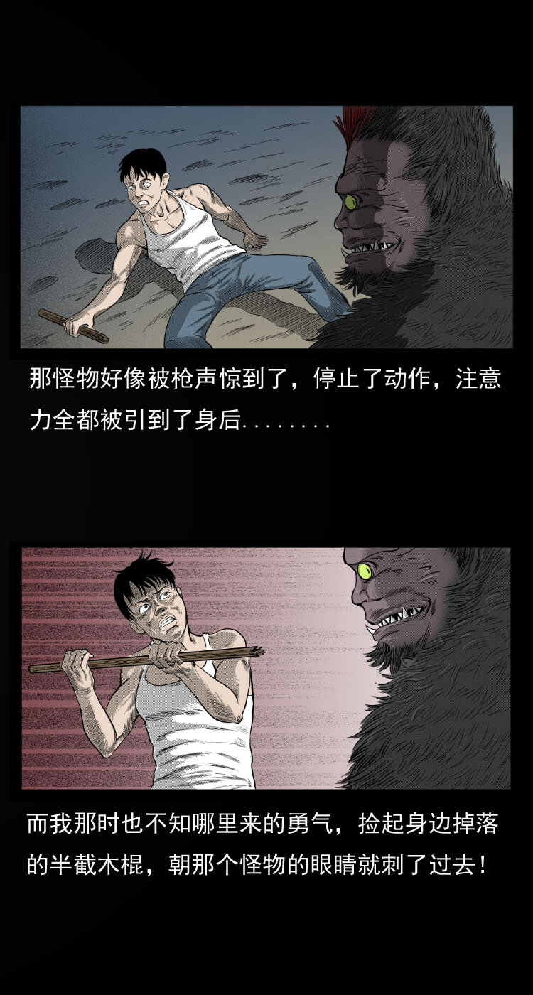 10 青藏铁路怪物事件28