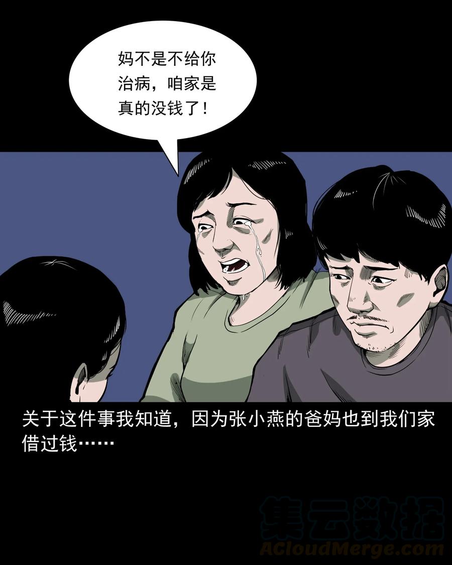 426 上身244