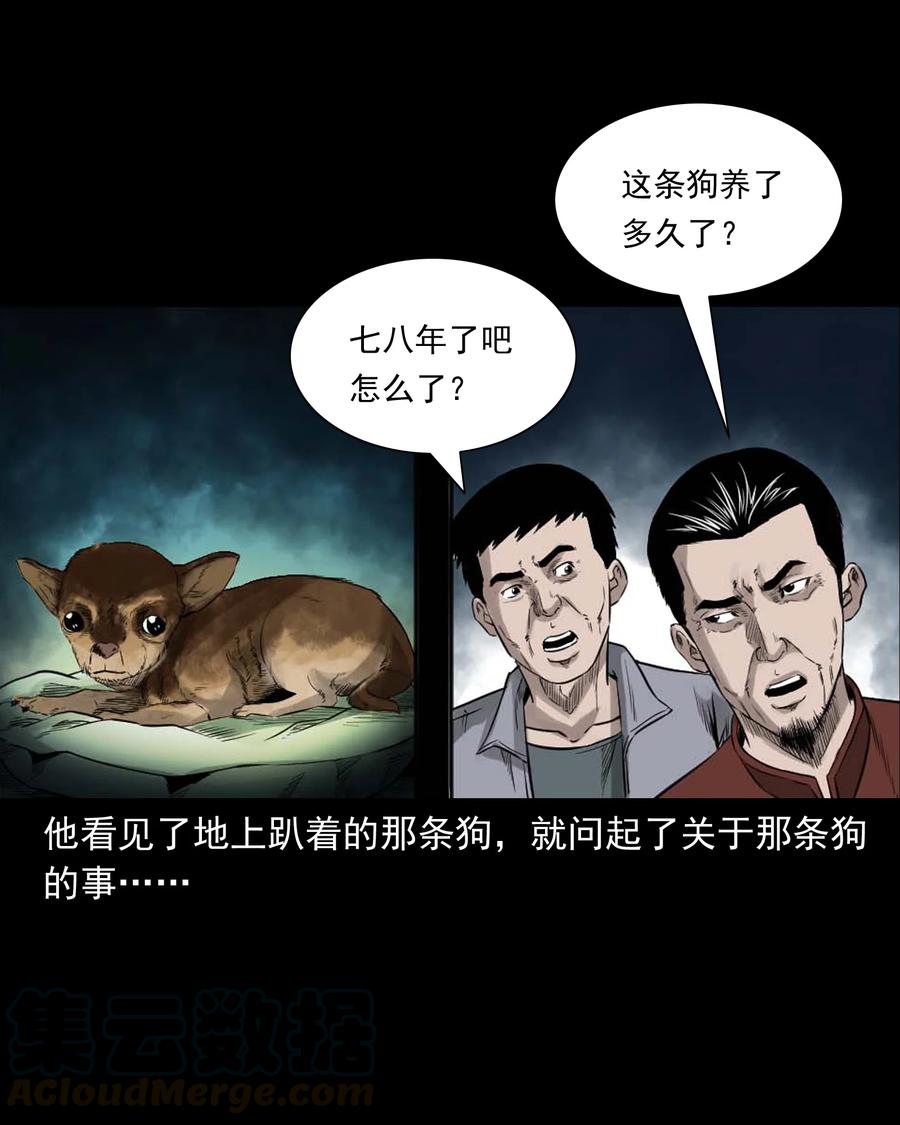 509 狗命20
