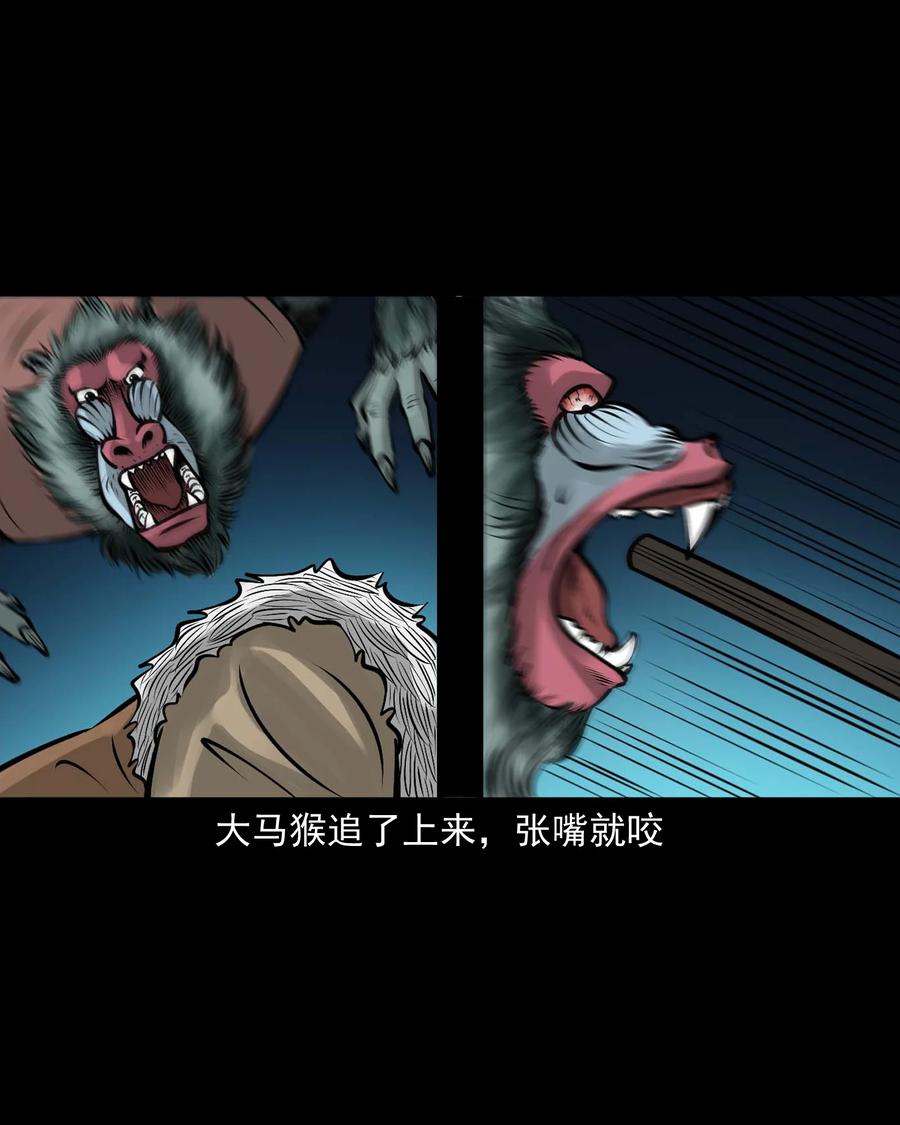 520 老烟鬼9647