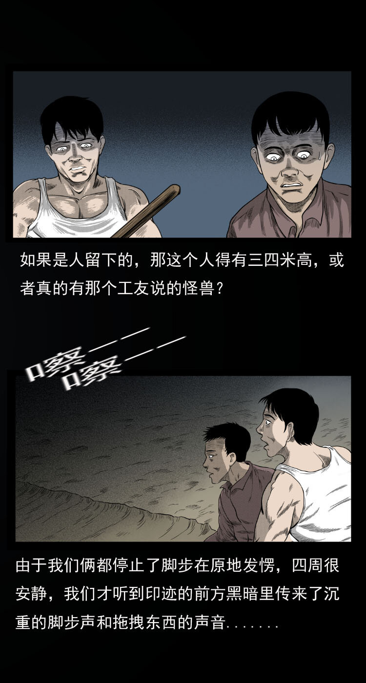 10 青藏铁路怪物事件16