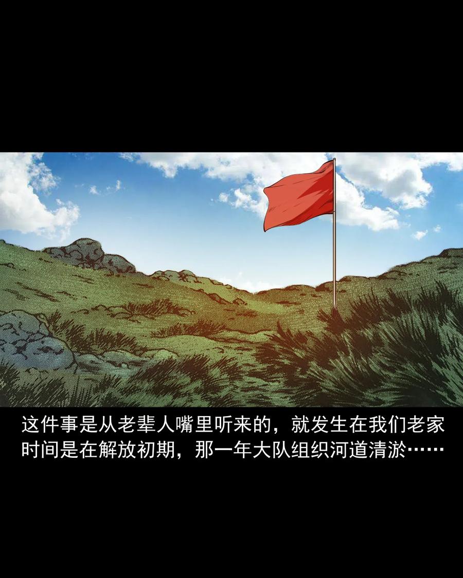 493 大王八1