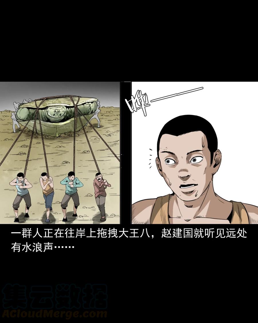 493 大王八33